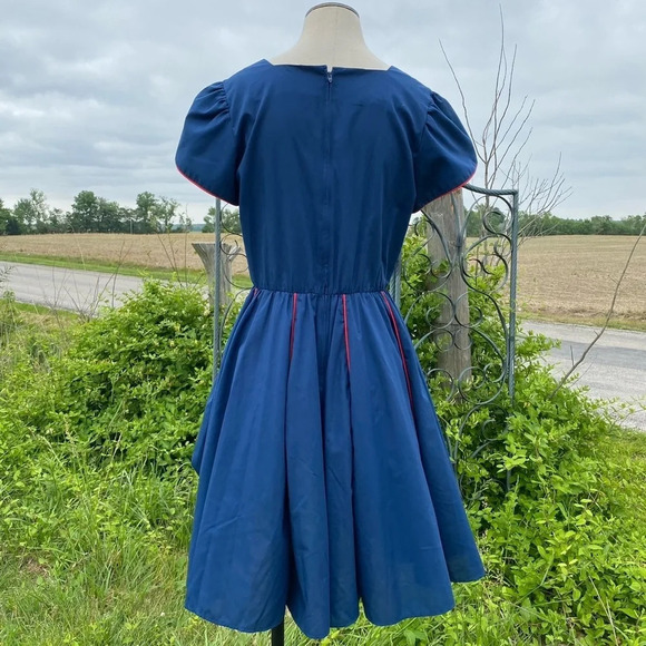 Vintage St Louis Square Dancing Dress - Picture 5 of 8